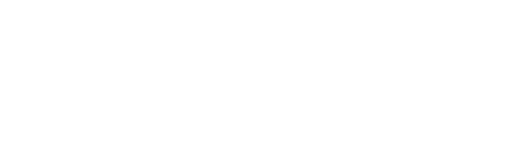 Focalis logo