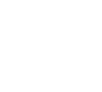 Nodal logo